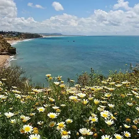 Mirador De Castilnovo Apartman