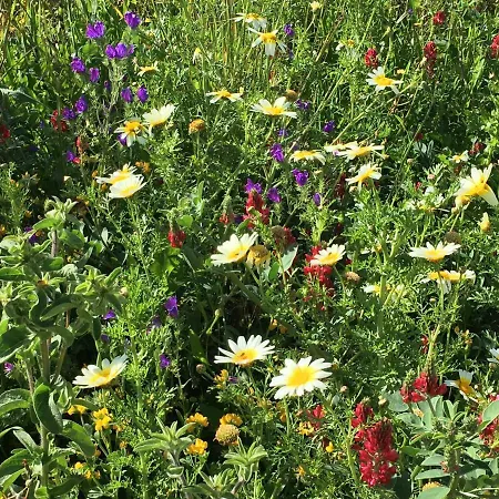 Appartement Mirador De Castilnovo *