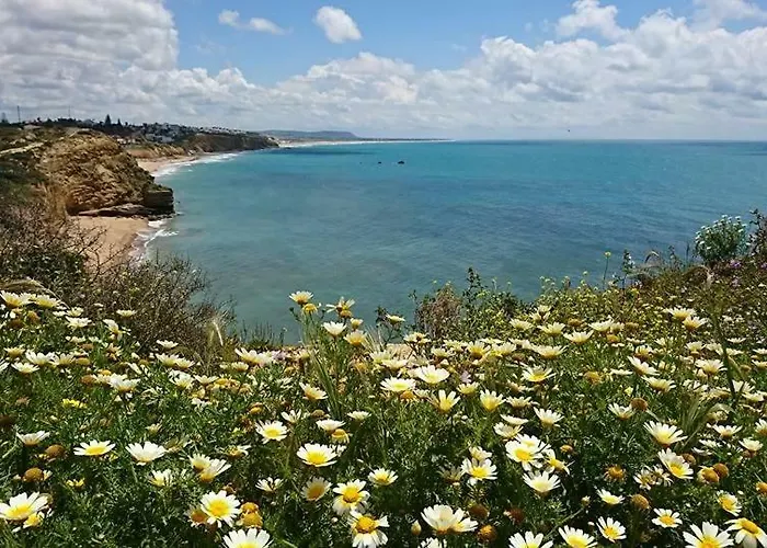 Mirador De Castilnovo דירה